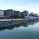 IMG_0775.jpg