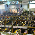 normal_24022011hohejagdautotaaktivnews_044.jpg