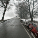 lustenau2.jpg