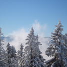 DSC03590.JPG