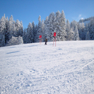 DSC03593.JPG