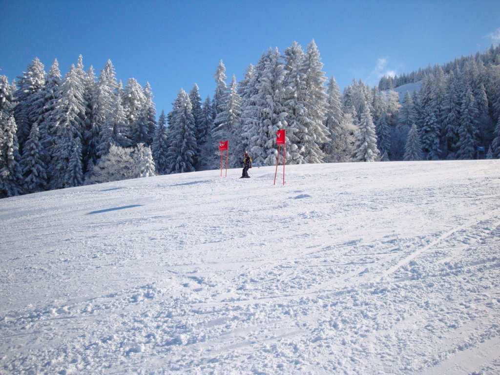DSC03593.JPG