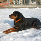 Tiere der Woche KW 8