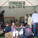 IMG_4528.JPG