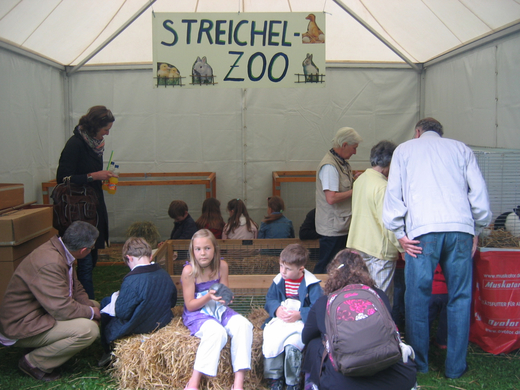 IMG_4528.JPG