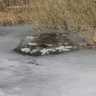 Bilder vom Unfallort