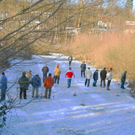 eis3.jpg