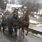 DSC_0266.JPG