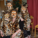 DSC_0016_JPG-1298738710