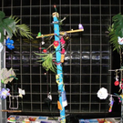 22_2_11 094_jpg-1298769002