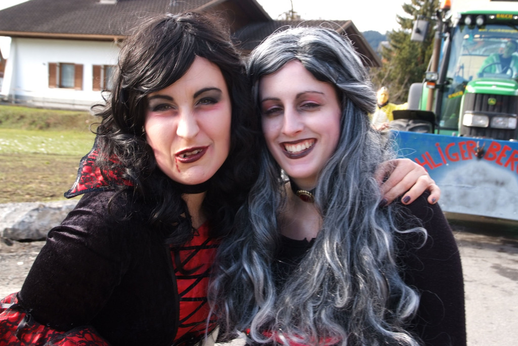 Ludescher Umzug 2011 _17_.JPG