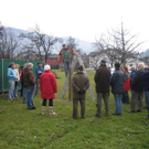 Baumschnitt 03 OGV Altenstadt_jpg-1298799180