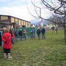 gbstbaumschnitt 2010 018_jpg-1298799197