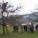 gbstbaumschnitt 2010 023_jpg-1298799203