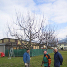 gbstbaumschnitt 2010 027_jpg-1298799208