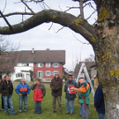 gbstbaumschnitt 2010 029_jpg-1298799213