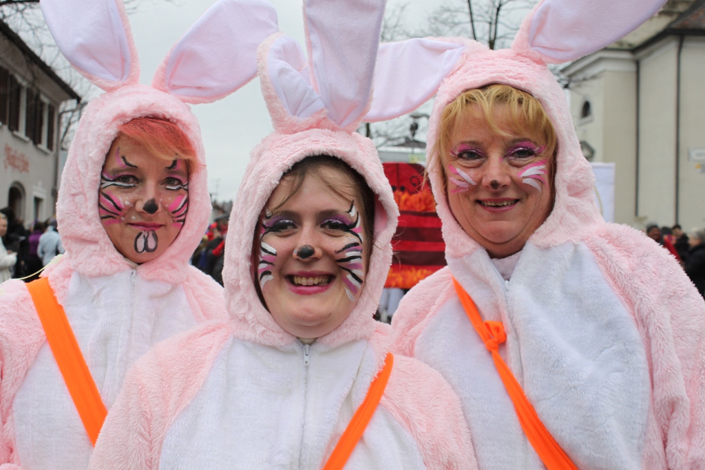 Fasching Umzug Leiblachtal 2011 _31__jpg-1298821616