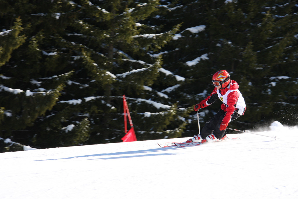 IMG_3374_JPG-1298828698