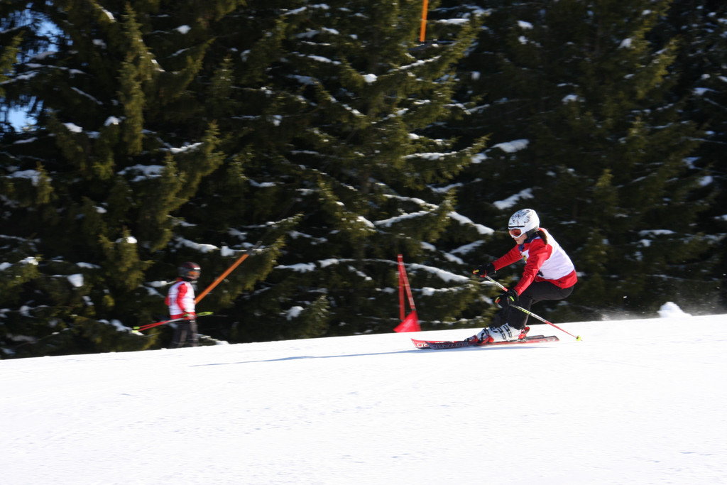 IMG_3404_JPG-1298828841