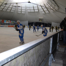 DSC_0085.JPG
