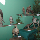 DSC_9146.jpg