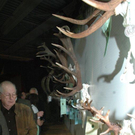 DSC_9192.jpg
