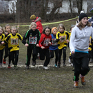 LM Crosslauf 2 Weiler 011 213_jpg-1298839815