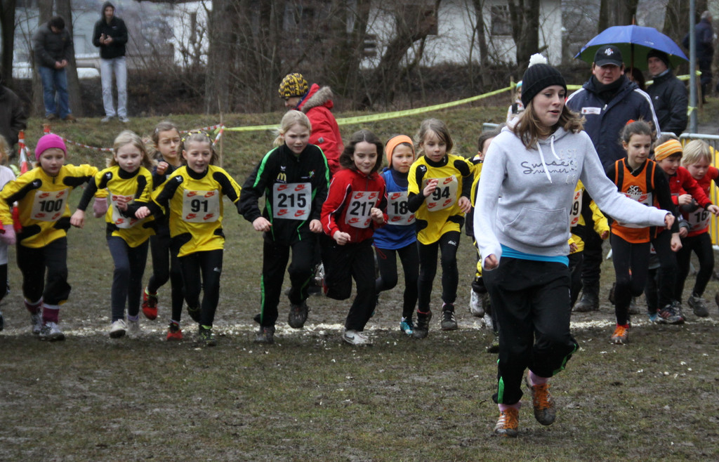 LM Crosslauf 2 Weiler 011 213_jpg-1298839815