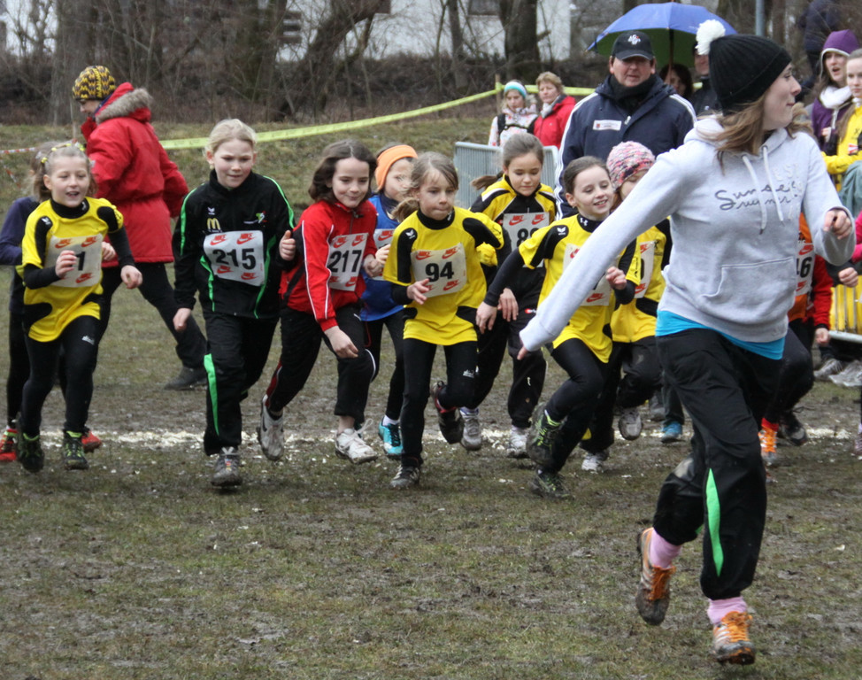 LM Crosslauf 2 Weiler 011 215_jpg-1298839838