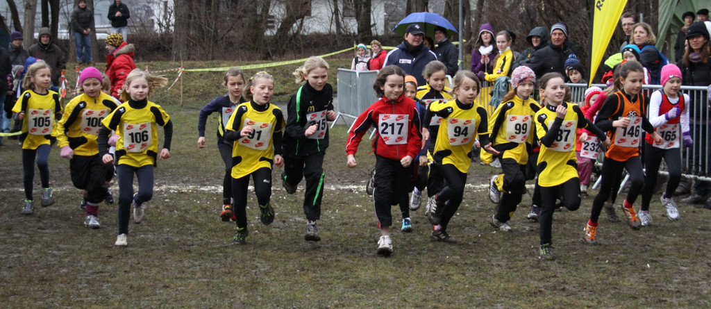 LM Crosslauf 2 Weiler 011 216_jpg-1298839860