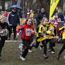 LM Crosslauf 2 Weiler 011 218_jpg-1298839879