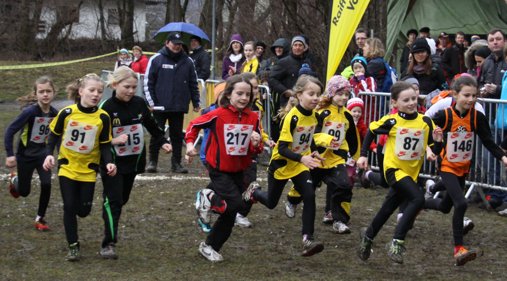 LM Crosslauf 2 Weiler 011 218_jpg-1298839879