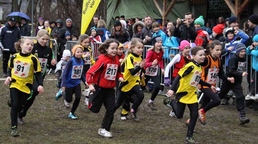 LM Crosslauf 2 Weiler 011 220_jpg-1298839898
