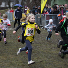 LM Crosslauf 2 Weiler 011 222_jpg-1298839918