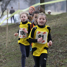 LM Crosslauf 2 Weiler 011 224_jpg-1298839935