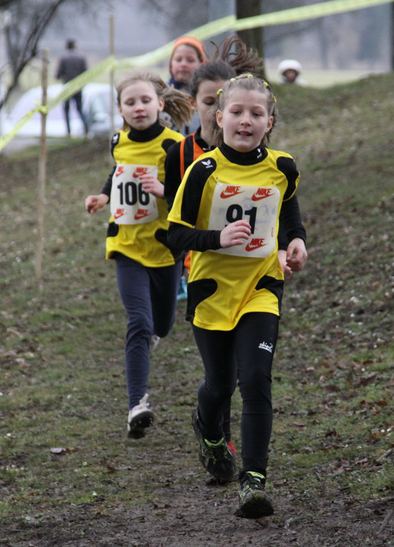 LM Crosslauf 2 Weiler 011 224_jpg-1298839935