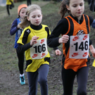 LM Crosslauf 2 Weiler 011 226_jpg-1298839959