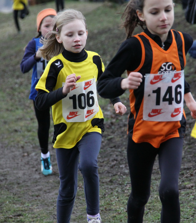 LM Crosslauf 2 Weiler 011 226_jpg-1298839959