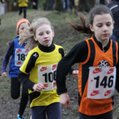 LM Crosslauf 2 Weiler 011 227_jpg-1298839979