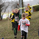 LM Crosslauf 2 Weiler 011 232_jpg-1298839995