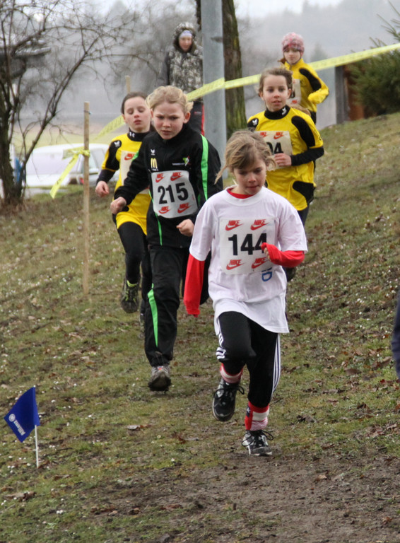 LM Crosslauf 2 Weiler 011 232_jpg-1298839995