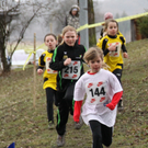 LM Crosslauf 2 Weiler 011 233_jpg-1298840010