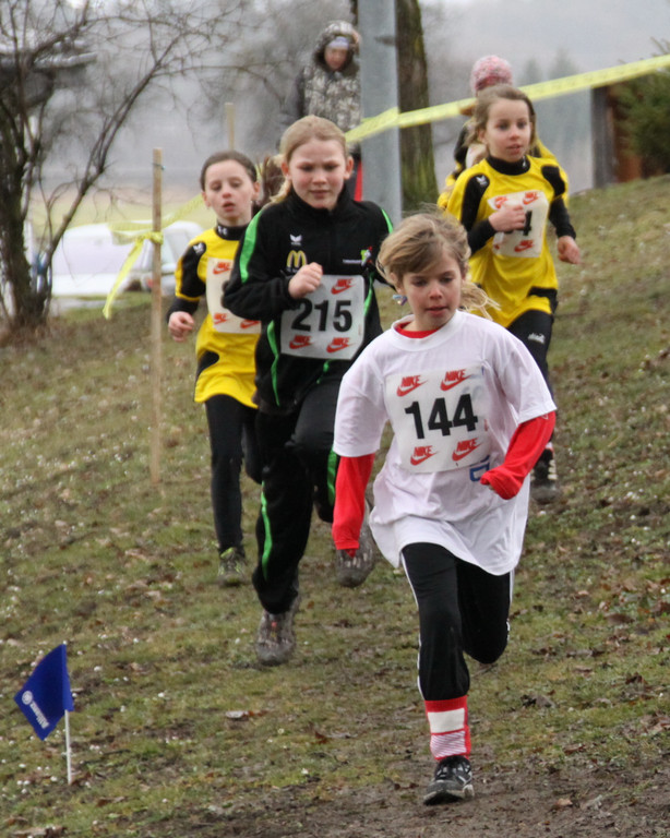 LM Crosslauf 2 Weiler 011 233_jpg-1298840010
