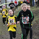 LM Crosslauf 2 Weiler 011 234_jpg-1298840034
