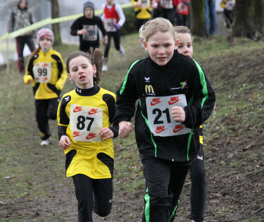 LM Crosslauf 2 Weiler 011 234_jpg-1298840034