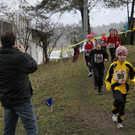 LM Crosslauf 2 Weiler 011 238_jpg-1298840058