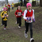 LM Crosslauf 2 Weiler 011 244_jpg-1298840098