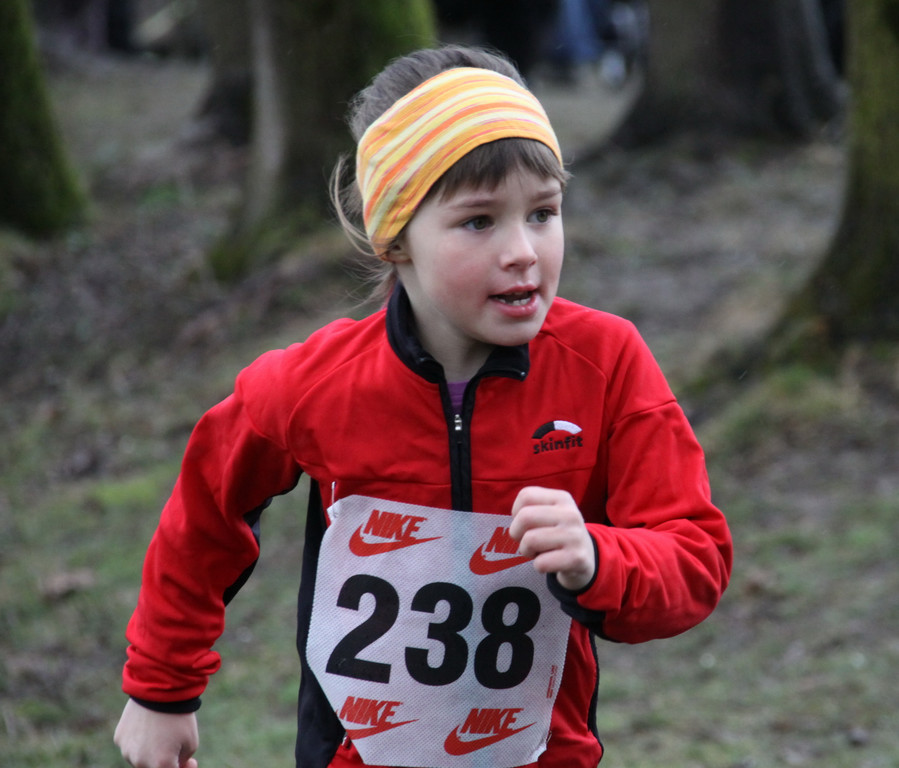 LM Crosslauf 2 Weiler 011 262_jpg-1298840166