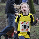 LM Crosslauf 2 Weiler 011 266_jpg-1298840187