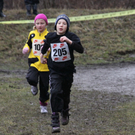LM Crosslauf 2 Weiler 011 278_jpg-1298840217